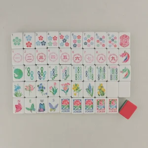 Complete Spring Garden mahjong 160-piece set with dot/bamboo/character/flower/wind/joker and spare red layered acrylic tile